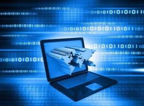 窥国内IT生态体系 一花一世界，互联网信息服务的无限可能