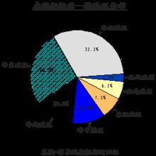 中国互联网络信息资源调查报告 互联网信息服务篇