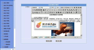 专业进出口服务公司整站解决方案 美工大气后台完整，精品源码共享